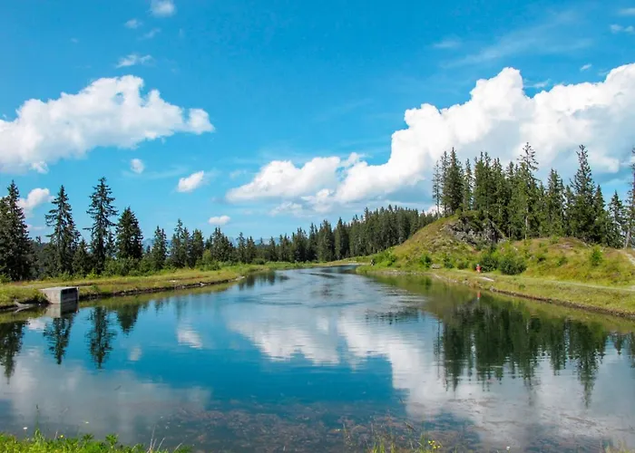 Katharina By Interhome Appartement Fügen